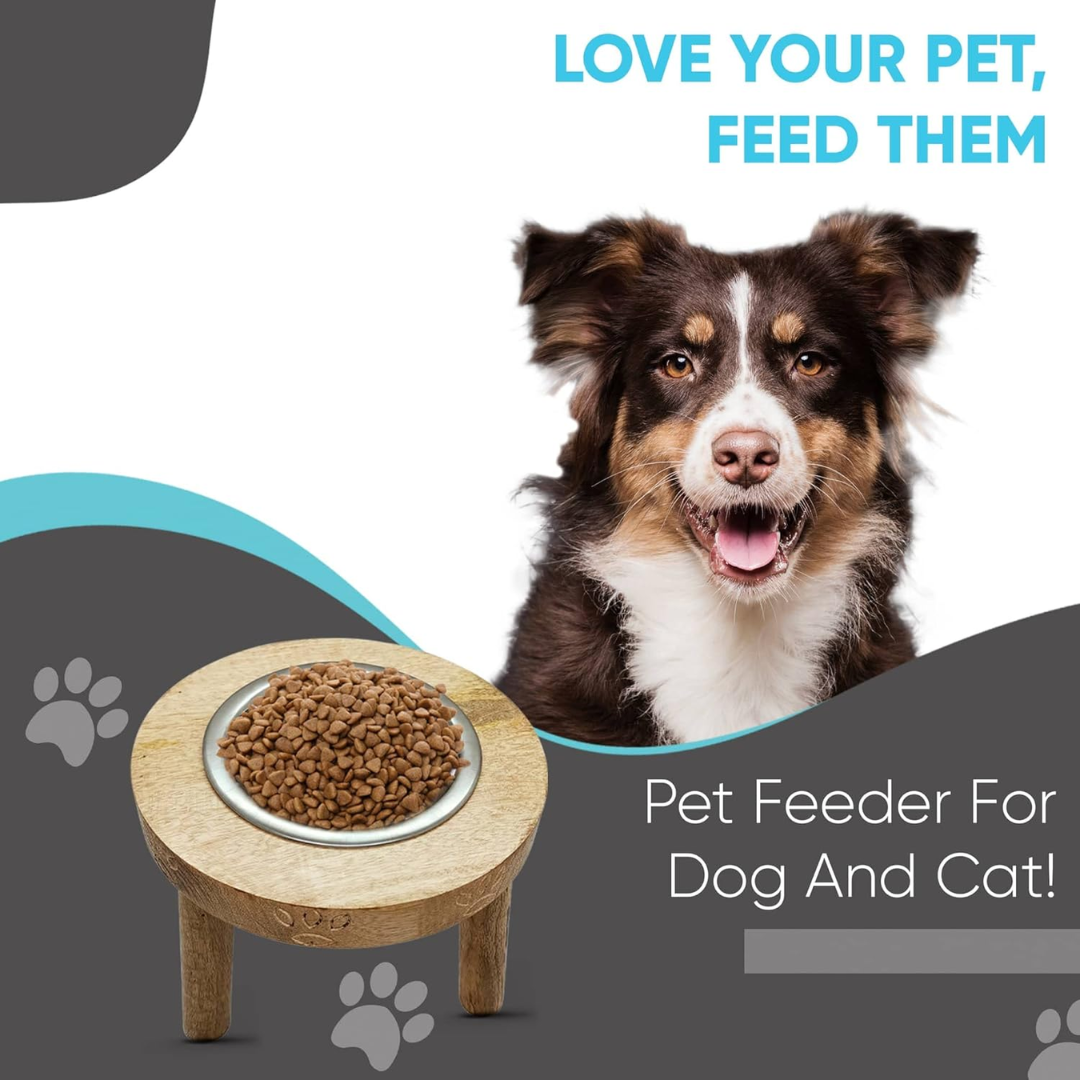 dog feeding bowl with stand