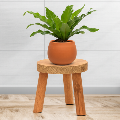 3 Leg Wooden Planter Stand | Solid Wood Plant Stand for Living Room, Indoor & Outdoor | Rustic Indoor Pot Holder