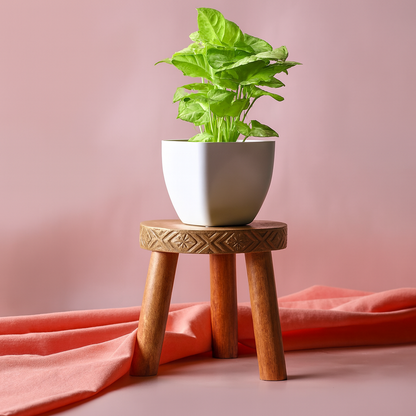 3 Leg Wooden Planter Stand | Solid Wood Plant Stand for Living Room, Indoor & Outdoor | Rustic Indoor Pot Holder