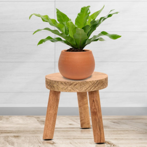 3 legged wooden stand