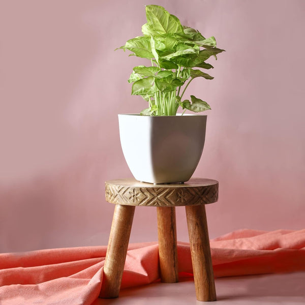 3 legged wooden stand