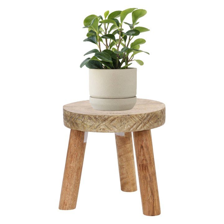 Multipurpose Wooden Planter Stand For Indoor and Outdoor - Vintageware