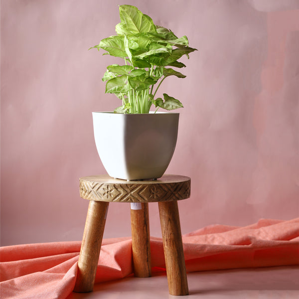 Multipurpose Wooden Planter Stand For Indoor and Outdoor - Vintageware