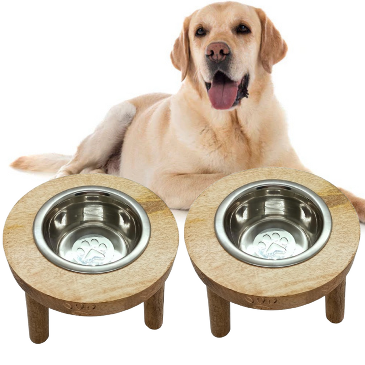 Pet food bowl