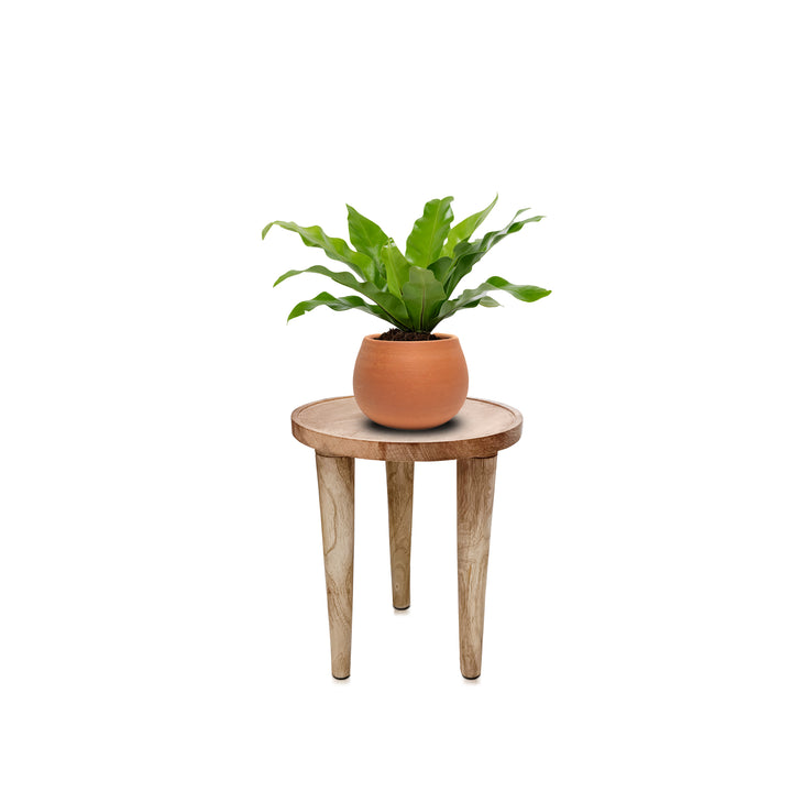 Multipurpose 3 Leg Wooden Planter Stand for Indoor and Outdoor Wooden Stool Flower Pot Stand - Vintageware