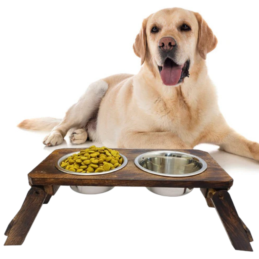 dog feeder bowl