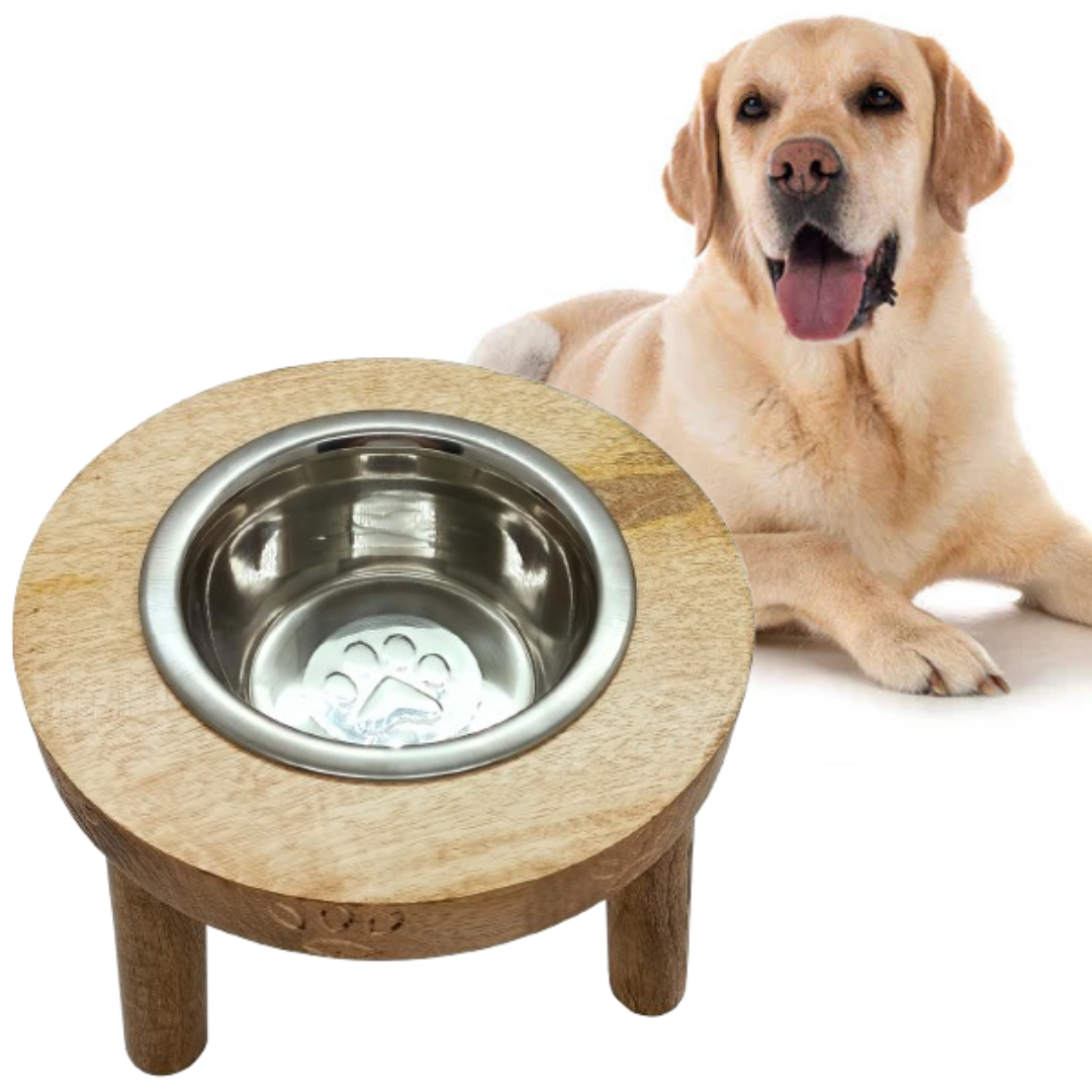dog feeding bowl with stand