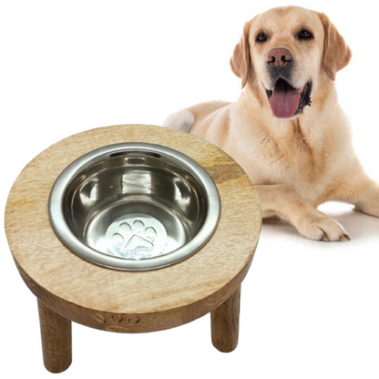 dog feeding bowl with stand