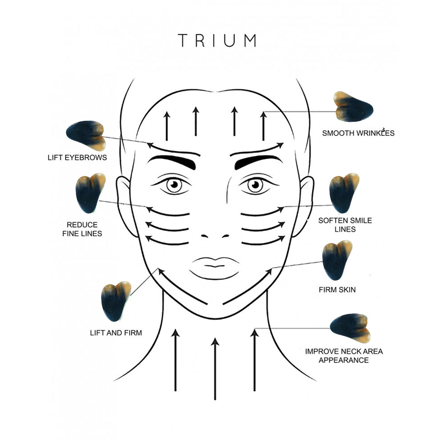 gua sha buffalo horn