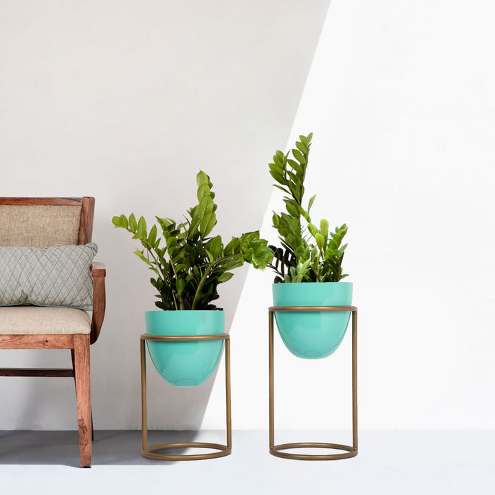 plant stand for living room